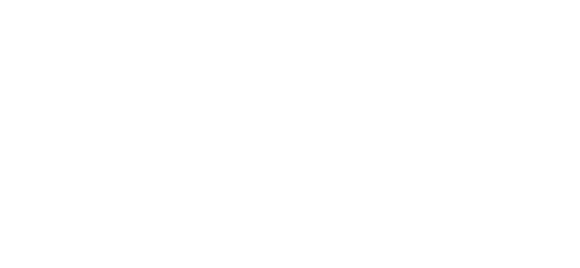 WT Logo